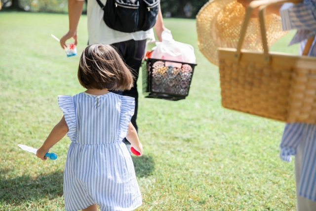 新型コロナウイルス 公園遊びは大丈夫 ピクニックは 子どもが心配 ソログラシ