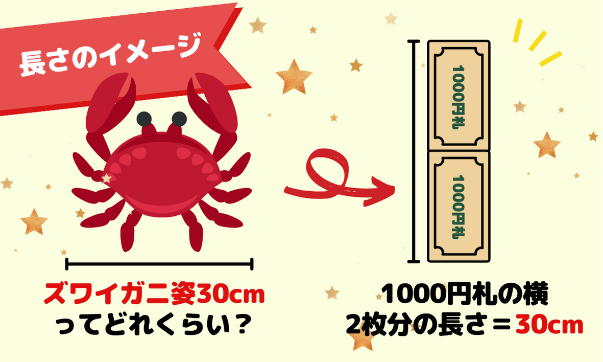 ズワイガニ1kgは何人前でどのくらいの量 一人前は何グラム ソログラシ