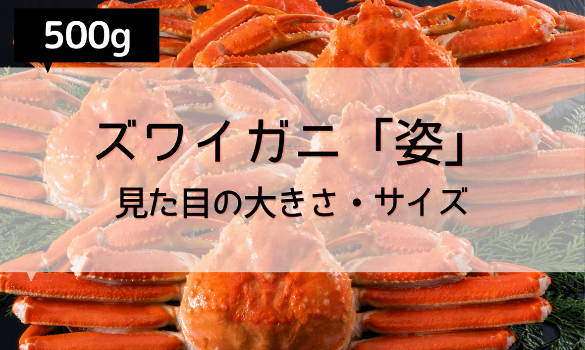 ズワイガニ500g 1キロはどれくらい 何人前 一人前が何キロか分かる早見表 ソログラシ
