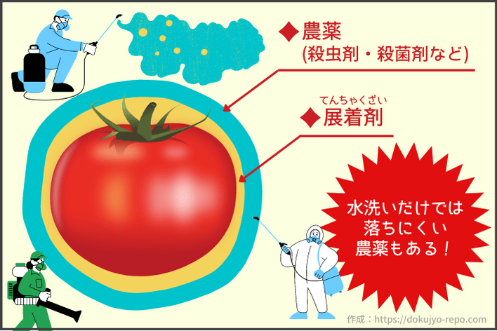 野菜の残留農薬の落とし方 トマトや人参など農薬を落とす洗い方も紹介 ソログラシ