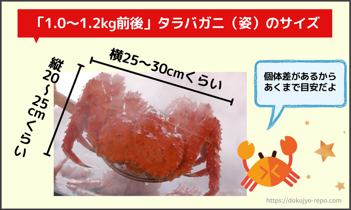 タラバガニ1キロはどれくらい 何人前 一人前が何キロか分かる早見表 ソログラシ