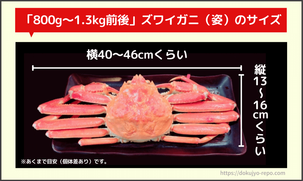 ズワイガニ500g～1キロはどれくらい？何人前？【一人前が何キロか分かる早見表】 | ソログラシ